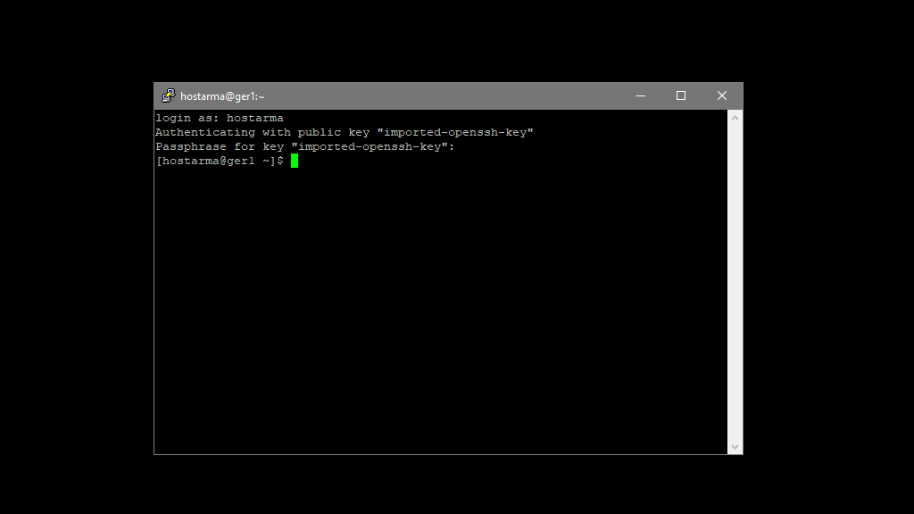 Logged in the SSH service