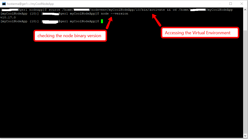 Node.js virtual environment